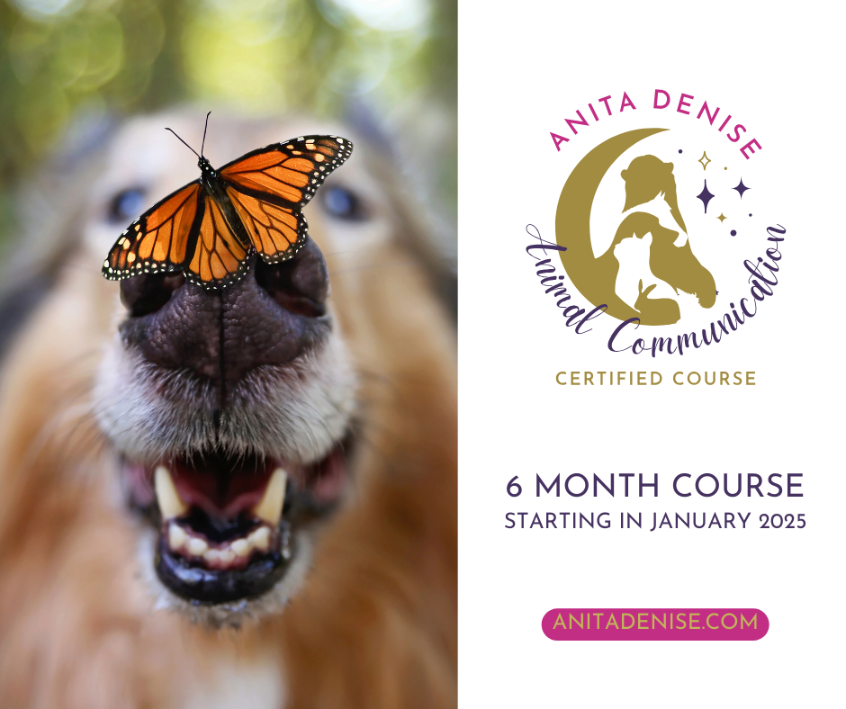 6 month course Starting in January 2024